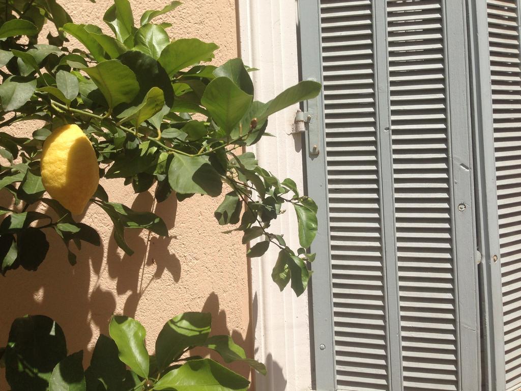 Chanteclair Cannes Bagian luar foto
